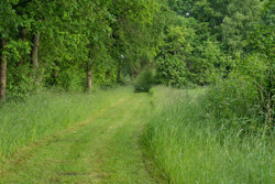 Solskovvej 8, Albæk, 7400 Herning