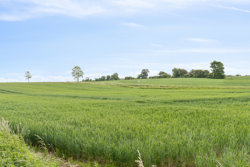 Hvolbækvej 3, Hvolbæk, 8660 Skanderborg