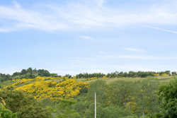Vedehøj 15, Femmøller, 8400 Ebeltoft