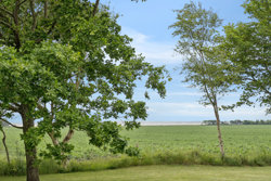 Skalstrupvej 57, Skalstrup, 7570 Vemb