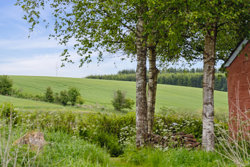 Sattrupvej 11, Sattrup, 8752 Østbirk