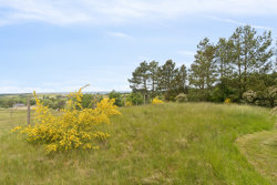 Bønnerupvej 70E, Bønnerup, 8585 Glesborg