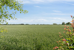 Værløsevej 9, Ebbeskov, 4640 Faxe