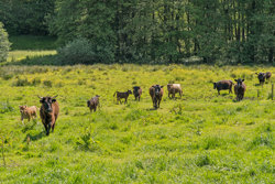 Glerupvej 21, Glerup, 9560 Hadsund