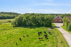 Glerupvej 21, Glerup, 9560 Hadsund