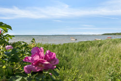 Strandgade 22, Hou, 8300 Odder
