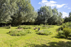 Manstrup Strandvej 33, Manstrup, 9690 Fjerritslev