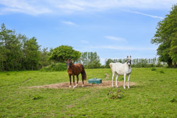 Teglbakkevej 16, Skelund, 9560 Hadsund