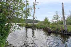 Farmen 14, Lysbro, 8600 Silkeborg