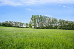 Teglbakkevej 2A, Skelund, 9560 Hadsund
