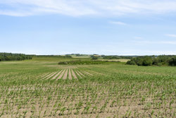 Krastrupvej 4, St Brøndum, 9520 Skørping