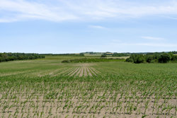 Krastrupvej 4, St Brøndum, 9520 Skørping
