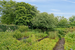 Finderupvej 20, 9500 Døstrup
