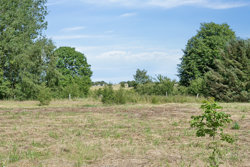 Trehøjevej 74, Jennum, 8981 Spentrup