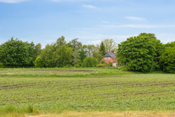 Viborgvej 383, Sønderbæk, 8920 Randers NV
