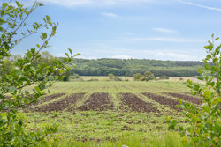 Viborgvej 383, Sønderbæk, 8920 Randers NV
