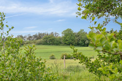 Viborgvej 383, Sønderbæk, 8920 Randers NV