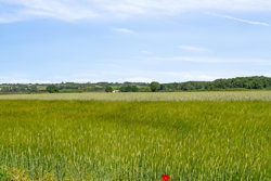 Nygårdsvej 35, Ullehusene, 5464 Brenderup Fyn