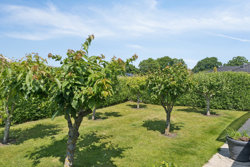 P. C. Davidsens Vej 11, 4690 Haslev