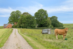 Fårupvej 25, 8840 Rødkærsbro