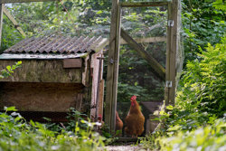 Brøndumvej 5, Brøndum, 9500 Hobro