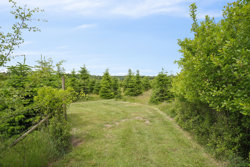 Hadsundvej 64, Vester Korup, 9575 Terndrup