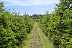 Hadsundvej 64, Vester Korup, 9575 Terndrup