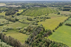 Hadsundvej 64, Vester Korup, 9575 Terndrup