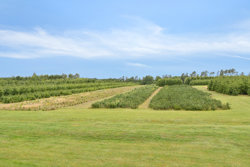 Vestermarksvej 1, 7470 Karup J