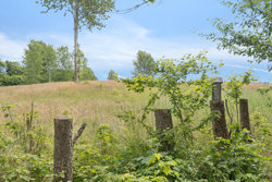 Rodelundvej 50, 8680 Ry