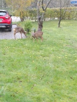 Havlodden 17, Helberskov, 9560 Hadsund