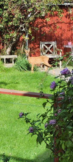 Havlodden 17, Helberskov, 9560 Hadsund