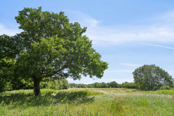 Ålborgvej 114, Visborg, 9560 Hadsund