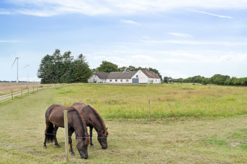 Karuphøjvej 15, 7470 Karup J