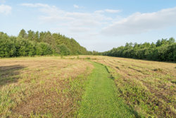 Gl Skolevej 12, 8765 Klovborg