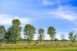 Halagervej 19, 8930 Randers NØ