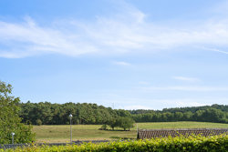 Vimmelskaftet 8, Thorsager, 8410 Rønde