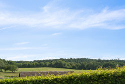 Vimmelskaftet 8, Thorsager, 8410 Rønde