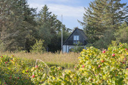 Hjorbuskvej 23, Nøreng, 7870 Roslev