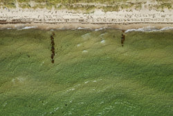 Strandvejen 34, 8410 Rønde