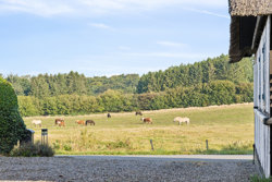 Lindebjerg 43, 5560 Aarup