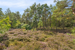 Sommerland 58, Odde, 9560 Hadsund