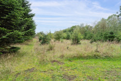 Bavnevej 1, Resen, 7470 Karup J