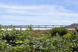 Lyngbjergvej 51, Faarup, 7900 Nykøbing M