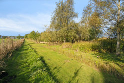 Debildvej 6, Thorsø Mark, 8500 Grenaa