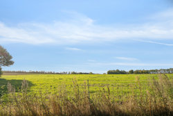 Debildvej 6, Thorsø Mark, 8500 Grenaa