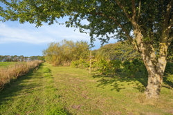 Debildvej 6, Thorsø Mark, 8500 Grenaa