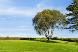 Hurupvej 31, Solbjerg, 9560 Hadsund