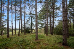 Planetvej 7, Dråby, 8400 Ebeltoft