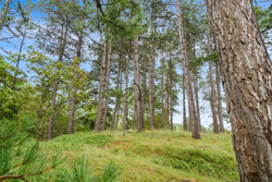 Planetvej 7, Dråby, 8400 Ebeltoft
